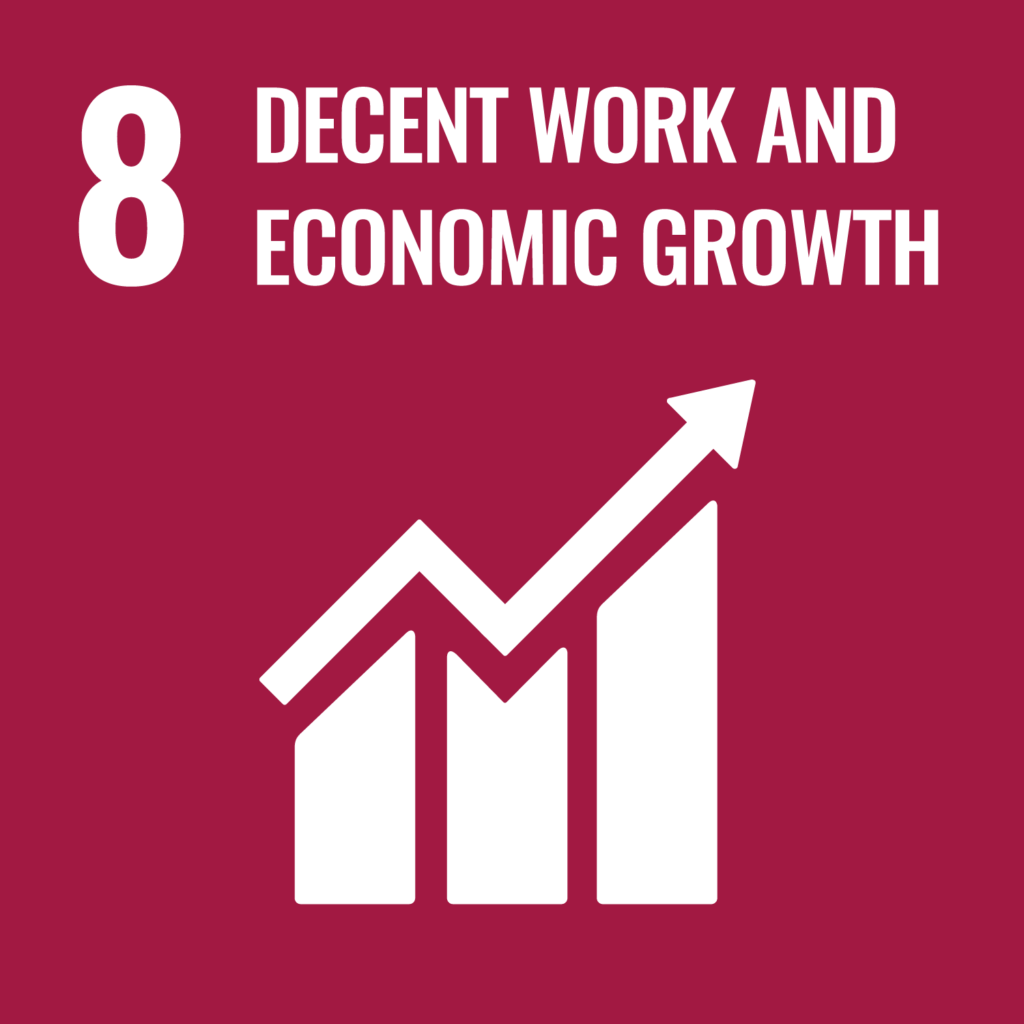 United Nations Sustainable Development Goal 8