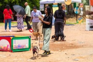 Pawsome Heroes 17