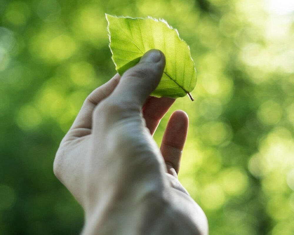 Cultivating a Greener Future Together