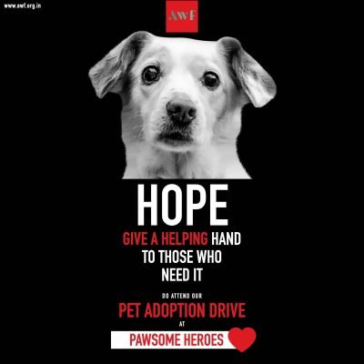 Adoption Drive At Pawsome Heroes